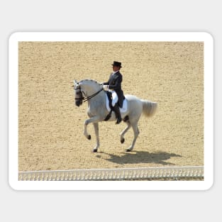 Dressage Sticker